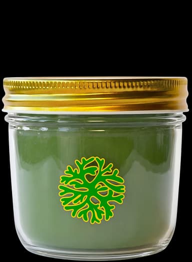 mendmoringa